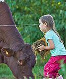 Bild Kinder mit Kühe auf den Ferienhof